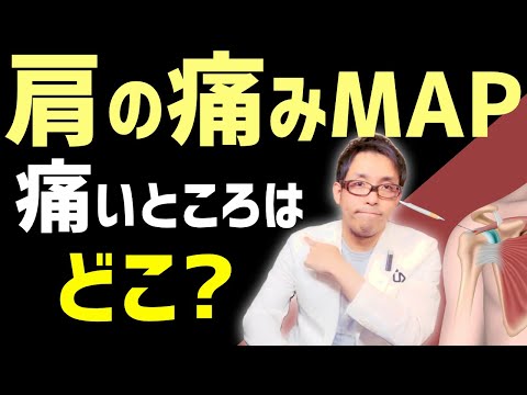 肩の痛みポイントから原因/対処法を導く【肩の痛み 原因】