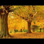 Fall Colors in New England, Relaxing Hymns, Peaceful  Instrumental Music, by Tim Janis