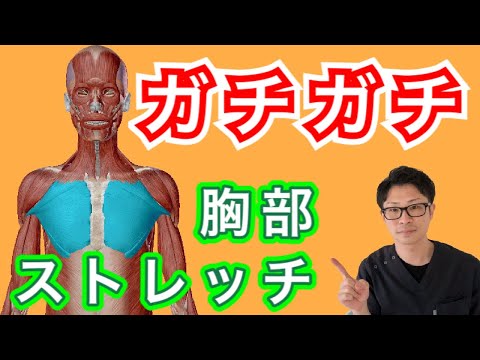 ガチガチに固まった胸周りをほぐすストレッチ！【埼玉県蕨市 整体院羽翼 TSUBASA 】