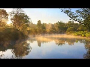 Beautiful Relaxing Music, Peaceful Soothing Music, "The Secret Light of the Forest " by Tim Janis
