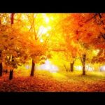 Beautiful Relaxing Hymns, Peaceful Instrumental Music, "Stove Vermont Autumn Sunrise" by Tim Janis