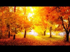 Beautiful Relaxing Hymns, Peaceful Instrumental Music, "Stove Vermont Autumn Sunrise" by Tim Janis