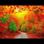 Autumn Scenery, Peaceful Music, Relaxing soothing Music, "Autumn Pathway" Music by Tim Janis