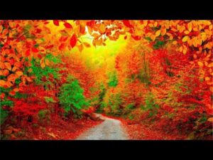 Autumn Scenery, Peaceful Music, Relaxing soothing Music, "Autumn Pathway" Music by Tim Janis