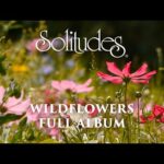 1 hour of Relaxing Music: Dan Gibson’s Solitudes – Wildflowers (Full Album)