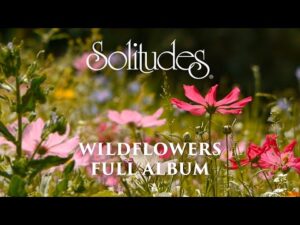1 hour of Relaxing Music: Dan Gibson’s Solitudes – Wildflowers (Full Album)