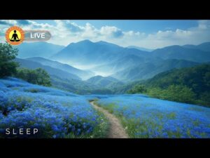 🔴 Relaxing Music 24/7, Stress Relief Music, Sleep Music, Meditation Music, Study, Calming Music