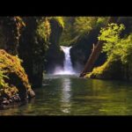 Beautiful Relaxing Music, Peaceful Instrumental Music, "16 Nature's World Wonders" by Tim Janis