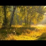 Beautiful Relaxing Hymns, Peaceful Music, "Golden Dawn Morning Sunrise " By Tim
