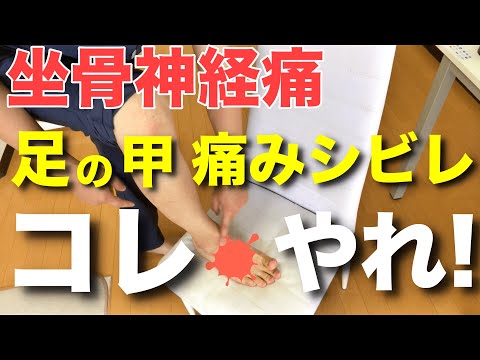 【坐骨神経痛】足の甲が痛い、シビれる！それならここをほぐしましょう