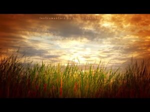 Fundo Musical | Peaceful Soothing Instrumental Music | Beautiful Relaxing Music | Cicero Euclides