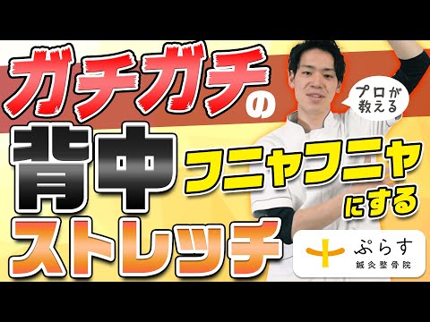 ぎっくり背中の予防に！ガチガチ背中を一瞬でふにゃふにゃにするストレッチ【柔道整復師監修】