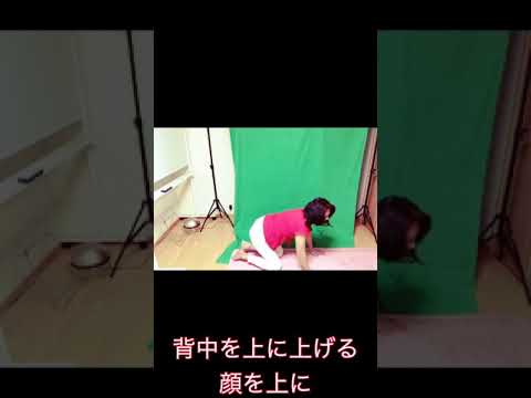 肩こり・首のこり・肩甲骨の痛みこりを解消して　免疫力アップと気力充実