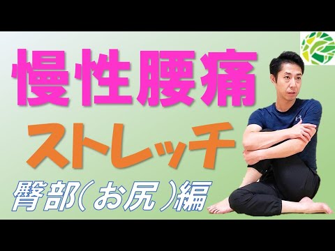 腰の痛みが治らない慢性腰痛に効果のあるストレッチ！理学療法士が実践、臀部（お尻）筋に対する3種類のストレッチ！
