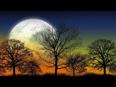Beautiful Relaxing Music – Night Nature Sounds, Beautiful Piano, Meditation Music, Stress Relief
