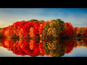 Beautiful Relaxing Music, Peaceful Soothing Instrumental Music, "Autumn Serenity Lake" by Tim Janis