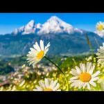 Beautiful Relaxing Music, Peaceful Instrumental Music, "Mountain Frontiers" by Tim Janis
