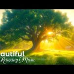 24/7 Beautiful Relaxing Music for Stress Relief, Peaceful Piano Music, Sleep Music, Meditation Music