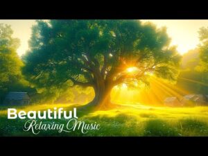 24/7 Beautiful Relaxing Music for Stress Relief, Peaceful Piano Music, Sleep Music, Meditation Music