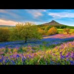 Beautiful Relaxing Music, Peaceful Soothing Instrumental Music, "Romantic Alps" By Tim Janis