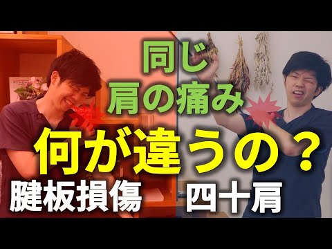 【腱板損傷と四十肩】同じ肩の痛みの症状だけれど何が違うのか！？を詳しく解説