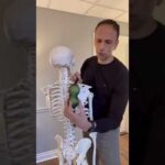 How to Treat Muscle Knots Under Your Shoulder Blade 💪🏽 #shorts #shoulderpain