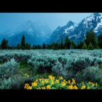Beautiful Relaxing Music, Peaceful Instrumental Music, "September in the Rocky Mountains"  Tim Janis