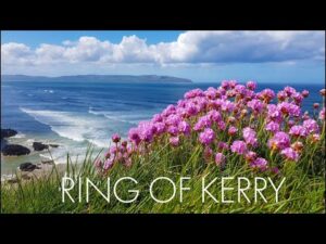 Beautiful Relaxing Celtic Music, Peaceful Soothing Instrumental Music, "Ring of Kerry" By Tim Janis