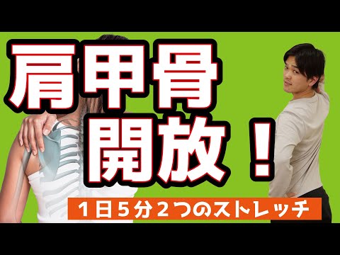【１日５分】肩甲骨を解放してガチガチの肩周りをすっきりほぐす１日５分のストレッチ
