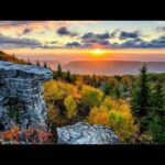 Beautiful Relaxing Music, Peaceful Soothing Instrumental Music, "Wild Woodland Peace" by Tim Janis