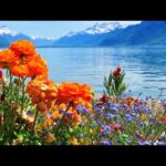 Beautiful Relaxing Music, Peaceful Soothing Music, Summer Light on Lake Como" by Tim Janis