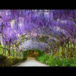 Beautiful Relaxing Music, "Europe's most romantic picturesque lakeside villages" by Tim Janis