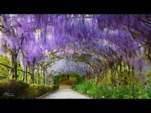 Beautiful Relaxing Music, "Europe's most romantic picturesque lakeside villages" by Tim Janis