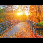 Autumn Bridges, Beautiful Relaxing Music, Peaceful soothing Music,  by Tim Janis