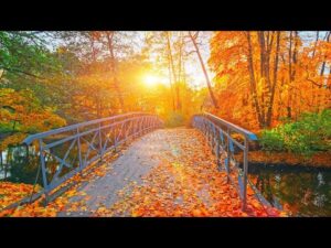 Autumn Bridges, Beautiful Relaxing Music, Peaceful soothing Music,  by Tim Janis