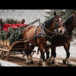 Beautiful Instrumental Christmas Music: Christmas Piano Music 24/7 "Christmas Eve" O Holy Night