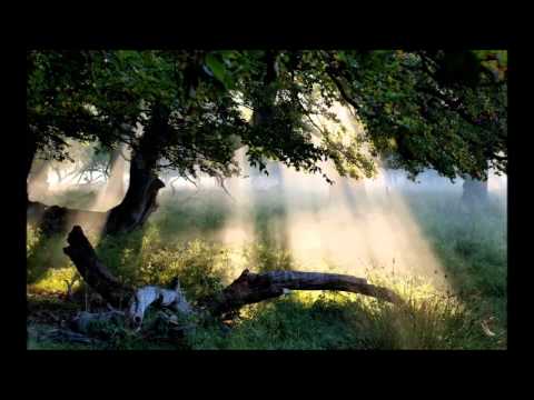 Dan Gibson  -Trois Gymnopedies