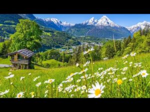 Beautiful Relaxing Music, Peaceful Soothing Music, "Mountain Dreams" by Tim Janis