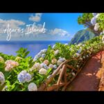 Beautiful Relaxing Music, Peaceful Soothing Music, "The Azores" by Tim Janis