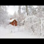 Beautiful Relaxing Music, Peaceful Soothing  Music, "Winter Peaceful Holiday Home" by Tim Janis