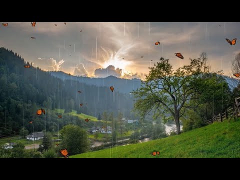 Relaxing Sleep Music with Rain Sounds – Relaxing Music, Peaceful Piano Music, Meditation Music
