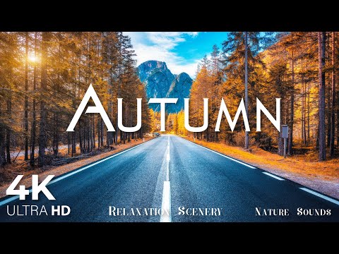 Beautiful Relaxing Music, Peaceful Soothing Instrumental Music, "Golden Autumn October" By Tim Janis