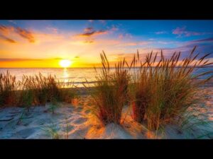 Beautiful Relaxing  Hymns, Peaceful Music, "Pacific Northwest Morning Sunrise" by Tim Janis