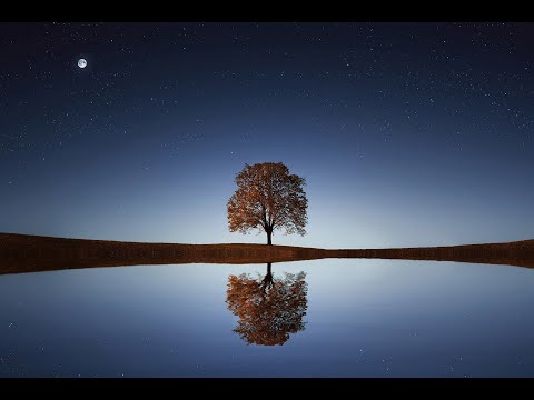 beautiful relaxing music peaceful soothing instrumental music hummingbird flight by tim janis