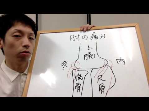 肘の痛み【肘の痛み①】｜和歌山市の相-ai-整体院