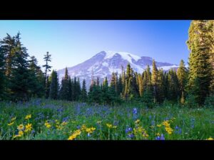 Earth Day Soundtrack, Beautiful Relaxing Music, Peaceful Instrumental Music Epic Nature by Tim Janis