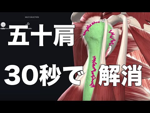 【四十肩　五十肩】簡単！自宅でできる肩の痛み３０秒ストレッチ　【肩関節周囲炎 治し方 ストレッチ】Stretch to cure shoulder pain in 30 seconds