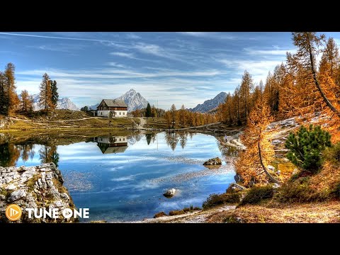 Relaxing Guitar Music & Lake Wetland • Stream Sounds [ Stress Relief Music, Spa, Meditation, Yoga ]