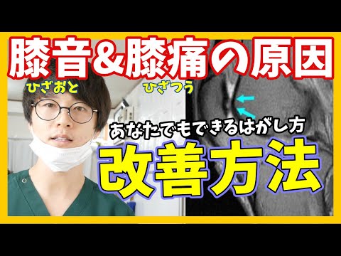 【実証済】あなたでもできる膝音&膝痛を改善させるはがし方《東京ひざ痛専門整体院 京四郎 -KYOSIRO-》#ひざ痛#筋膜#癒着はがし