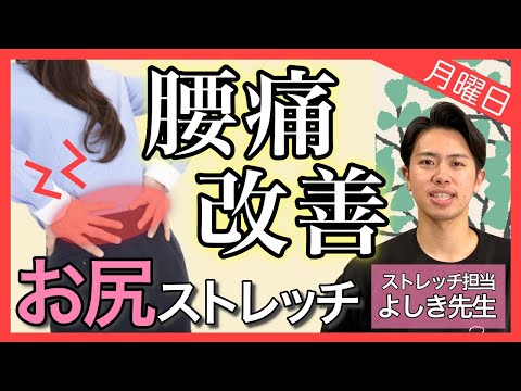 【腰痛 ストレッチ】腰痛の悩み解消！ツラい腰痛を改善するお尻ストレッチ【ストレッチ専門家】